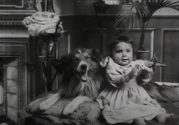 <em>Rescued by Rover</em> starring Blair, the first dog star in the movies